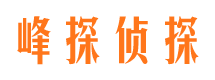 卢氏市私家侦探